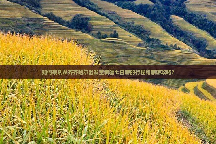 如何规划从齐齐哈尔出发至新疆七日游的行程和旅游攻略？
