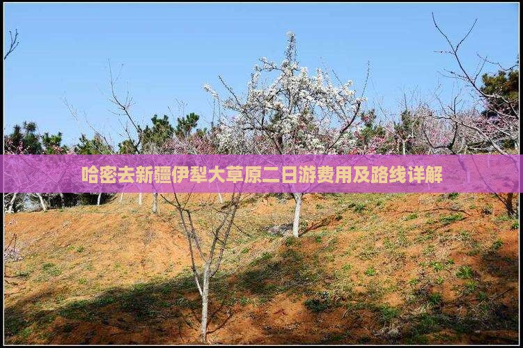 哈密去新疆伊犁大草原二日游费用及路线详解
