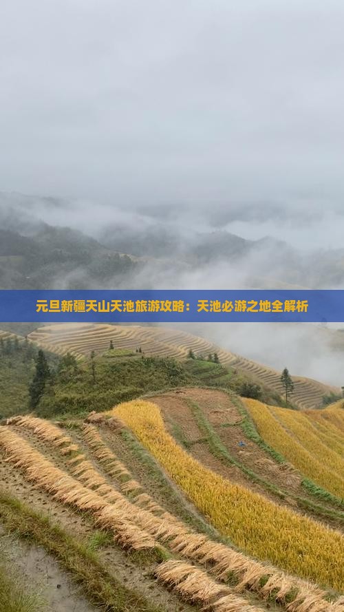 元旦新疆天山天池旅游攻略：天池必游之地全解析