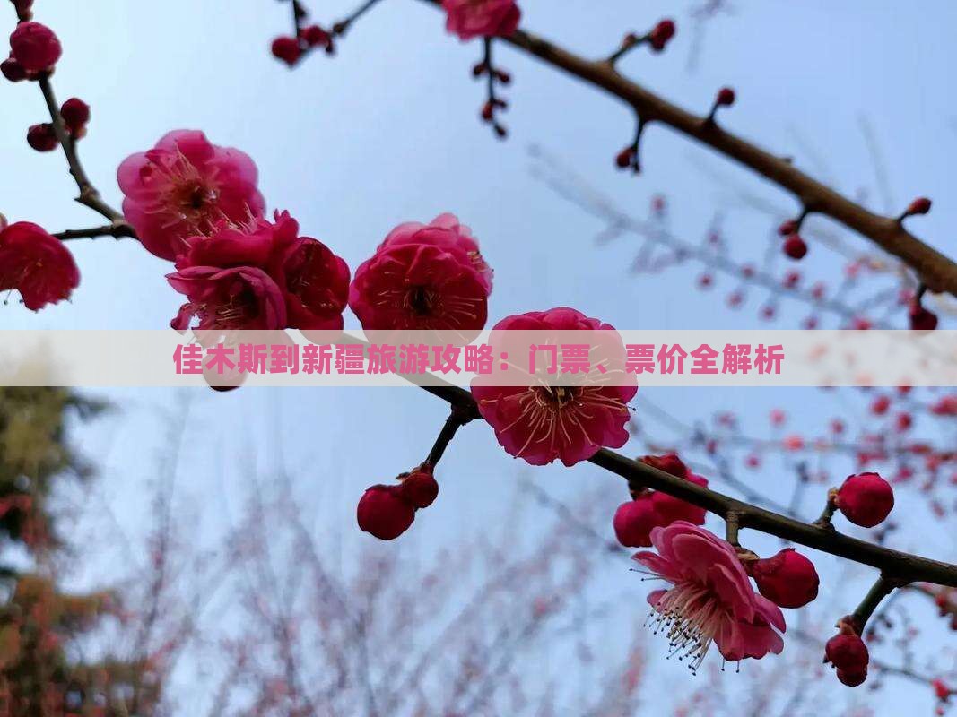 佳木斯到新疆旅游攻略：门票、票价全解析