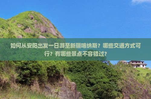 如何从安阳出发一日游至新疆喀纳斯？哪些交通方式可行？有哪些景点不容错过？