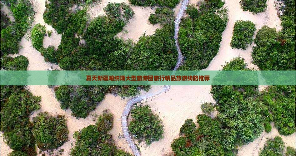 夏天新疆喀纳斯大型旅游团旅行精品旅游线路推荐