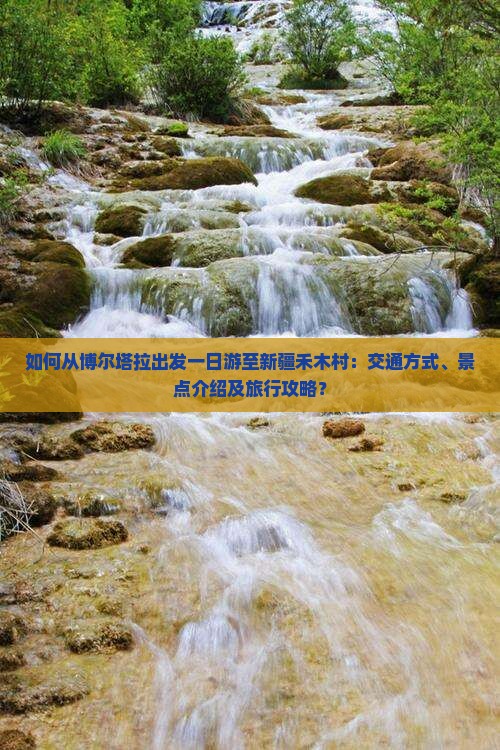 如何从博尔塔拉出发一日游至新疆禾木村：交通方式、景点介绍及旅行攻略？