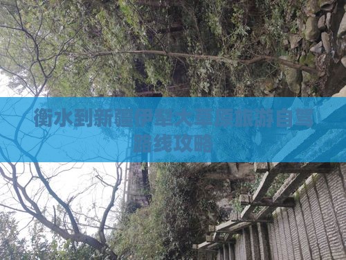 衡水到新疆伊犁大草原旅游自驾路线攻略