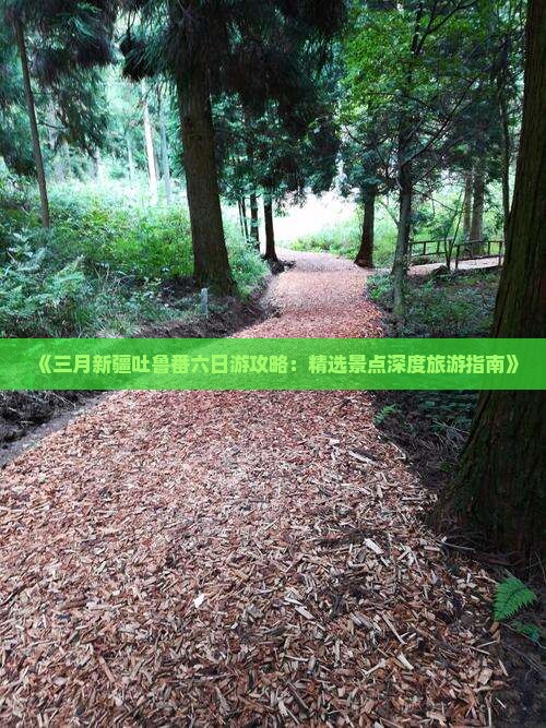 《三月新疆吐鲁番六日游攻略：精选景点深度旅游指南》