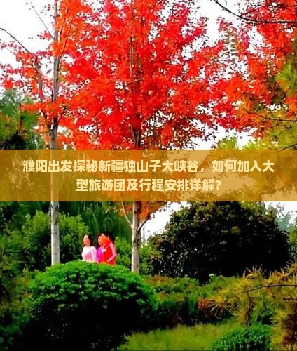 濮阳出发探秘新疆独山子大峡谷，如何加入大型旅游团及行程安排详解？