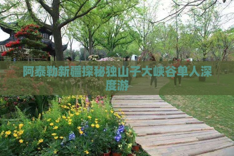 阿泰勒新疆探秘独山子大峡谷单人深度游