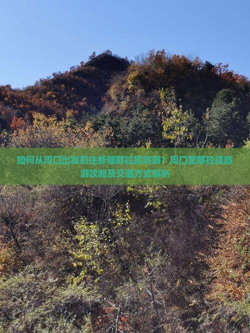 如何从周口出发前往新疆那拉提旅游？周口至那拉提旅游攻略及交通方式解析