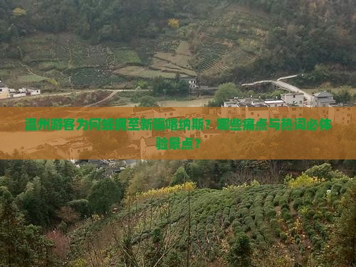 温州游客为何蜂拥至新疆喀纳斯？哪些痛点与热词必体验景点？