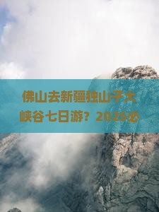佛山去新疆独山子大峡谷七日游