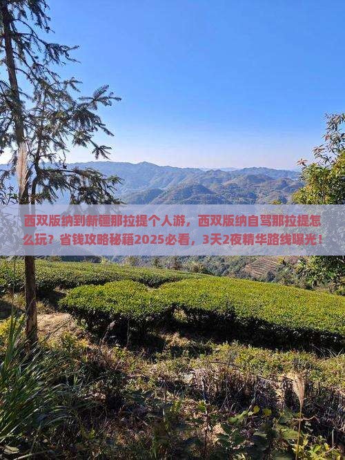 西双版纳到新疆那拉提个人游