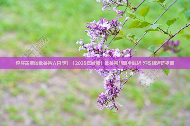 枣庄去新疆吐鲁番六日游