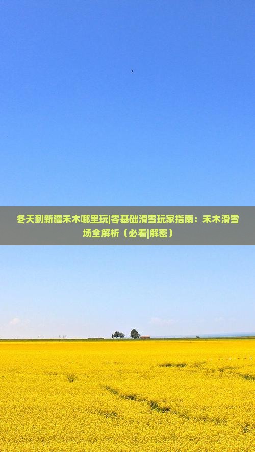 冬天到新疆禾木哪里玩