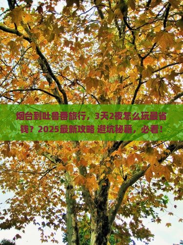 烟台到新疆吐鲁番旅行社