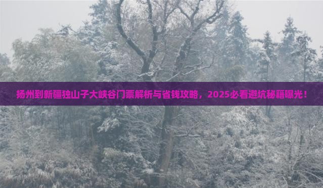 扬州到新疆独山子大峡谷门票
