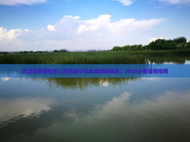 武汉到新疆独库公路旅游小吃