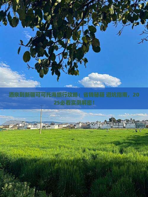 酒泉到新疆可可托海旅行社