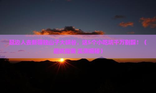 延边去新疆独山子大峡谷旅游小吃
