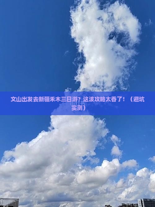 文山去新疆禾木三日游