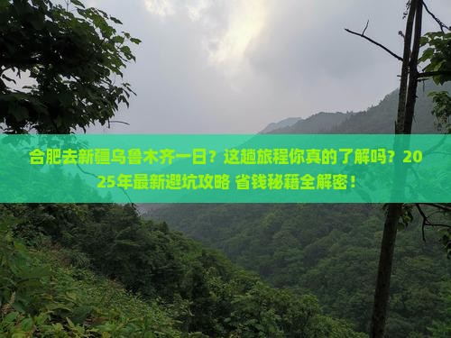 合肥去新疆乌鲁木齐一日