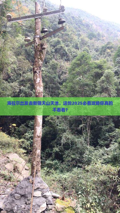 海拉尔去新疆天山天池旅行社