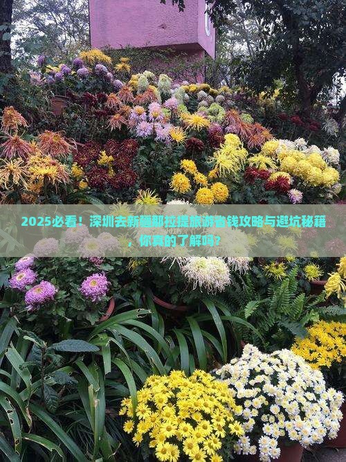 深圳去新疆那拉提旅游