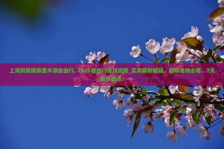 上海到新疆赛里木湖自由行