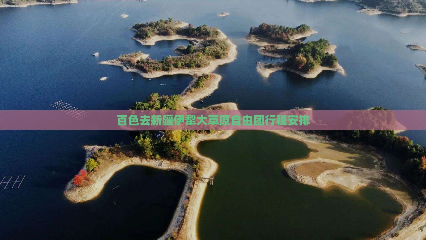 百色去新疆伊犁大草原自由团