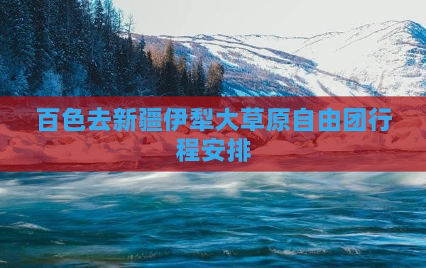 百色去新疆伊犁大草原自由团
