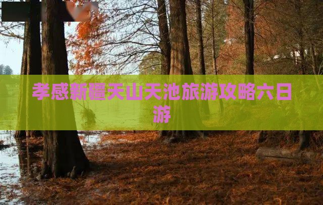 孝感去新疆天山天池六日游