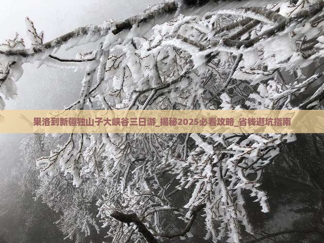 果洛到新疆独山子大峡谷三日游