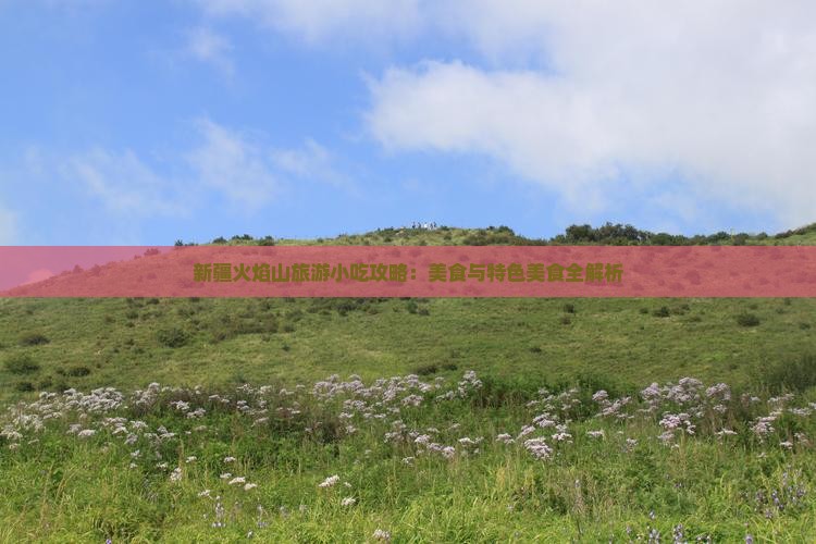 雅安去新疆火焰山旅游小吃