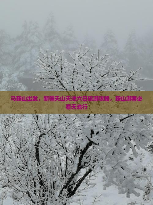 马鞍山到新疆天山天池六日游