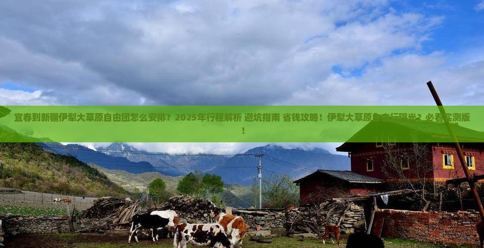 宜春到新疆伊犁大草原自由团