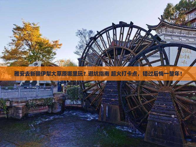 雅安去新疆伊犁大草原哪里玩