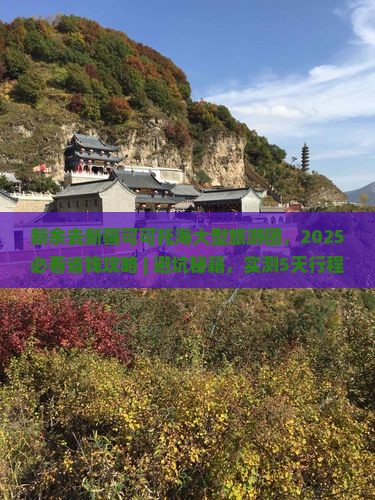 新余去新疆可可托海大型旅游团