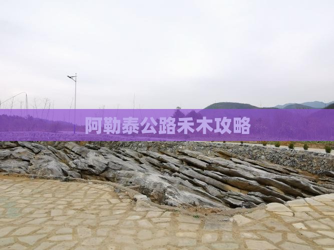 阿勒泰去新疆禾木攻略