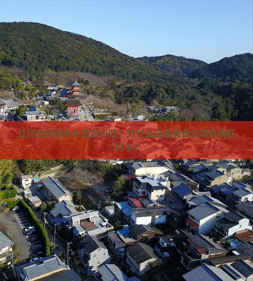 红河去新疆禾木旅游小吃