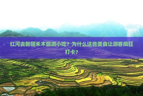 红河去新疆禾木旅游小吃