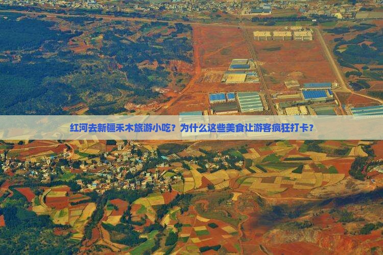 红河去新疆禾木旅游小吃