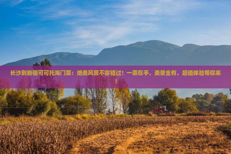 长沙到新疆可可托海门票
