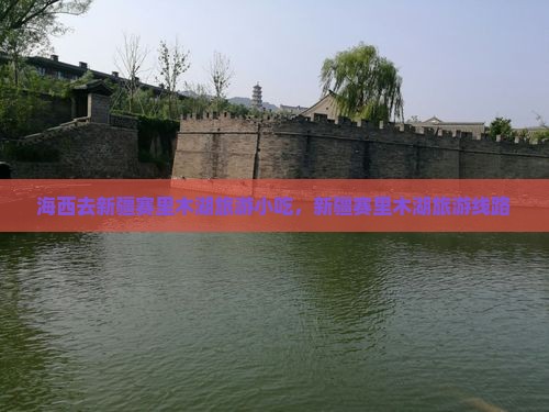海西去新疆赛里木湖旅游小吃