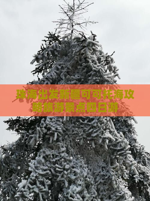 珠海去新疆可可托海四日游