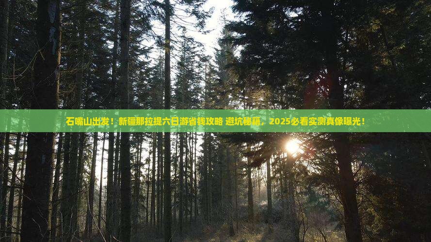 石嘴山到新疆那拉提六日游
