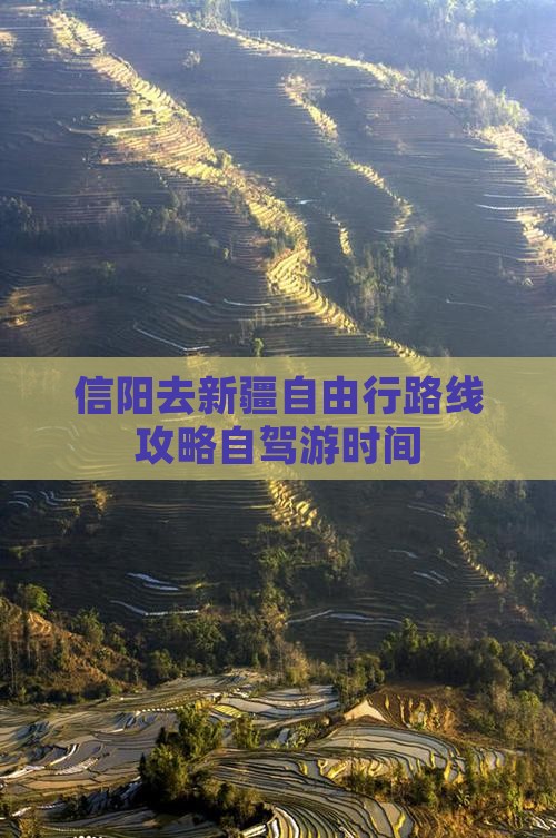 信阳去新疆自由行