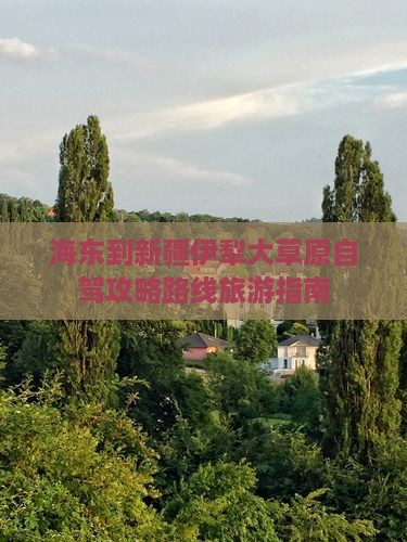 海东到新疆伊犁大草原一日