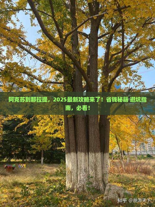 阿克苏到新疆那拉提攻略