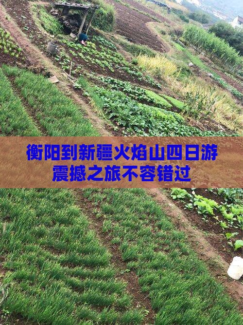 衡阳到新疆火焰山四日游