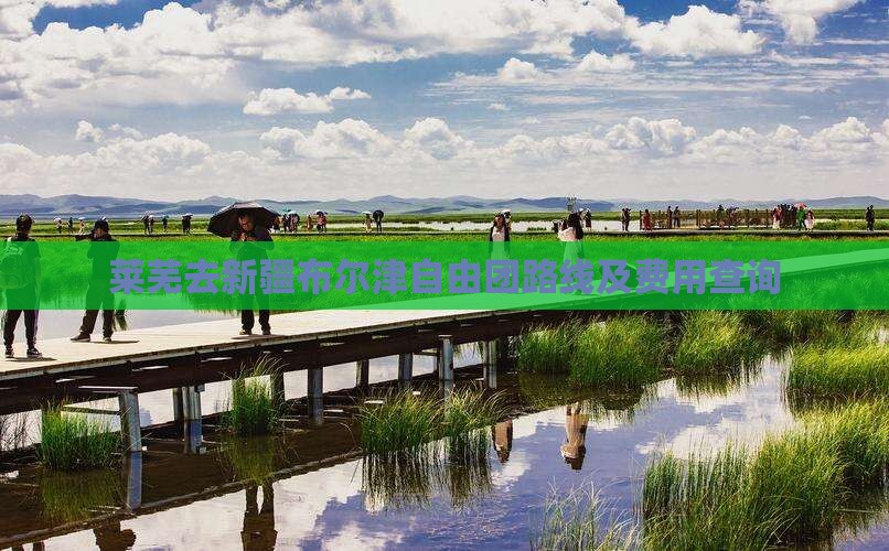 莱芜去新疆布尔津自由团路线及费用查询