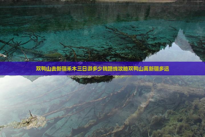 双鸭山去新疆禾木三日游多少钱路线攻略双鸭山离新疆多远